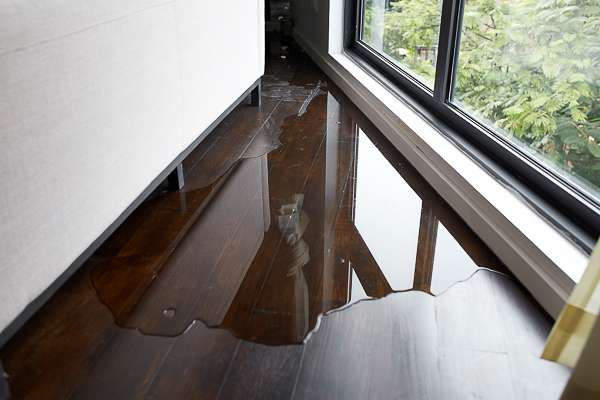 Water Damage And Restoration